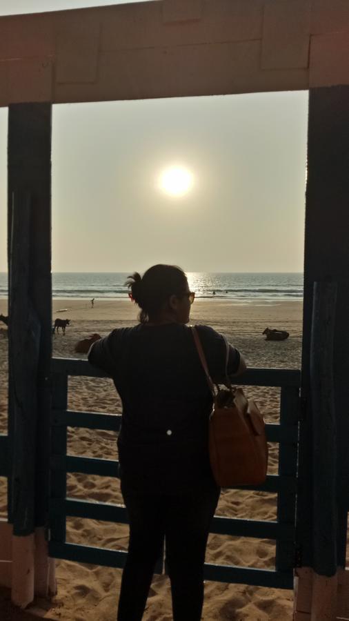 Mesa Beach Cottages Agonda